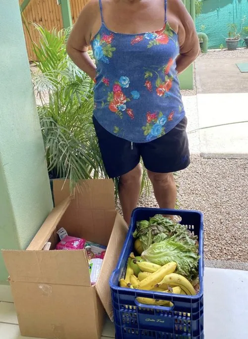 Food and household donations delivered to families